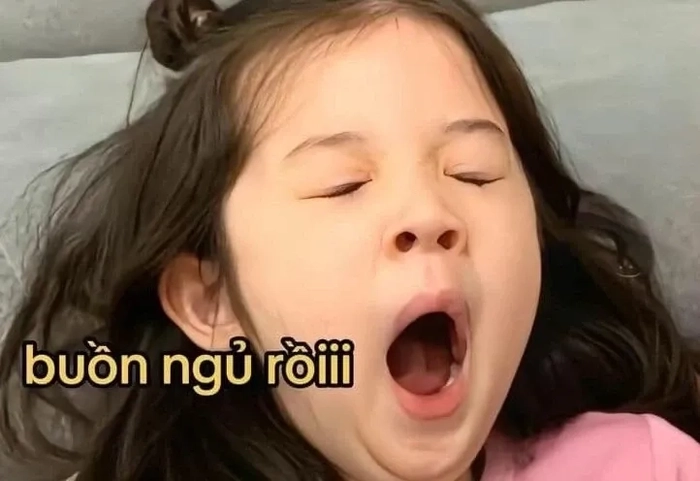 Chúc bạn ngủ ngon meme hài hước