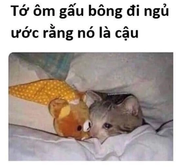 Chúc bé ngủ ngon meme lém lỉnh