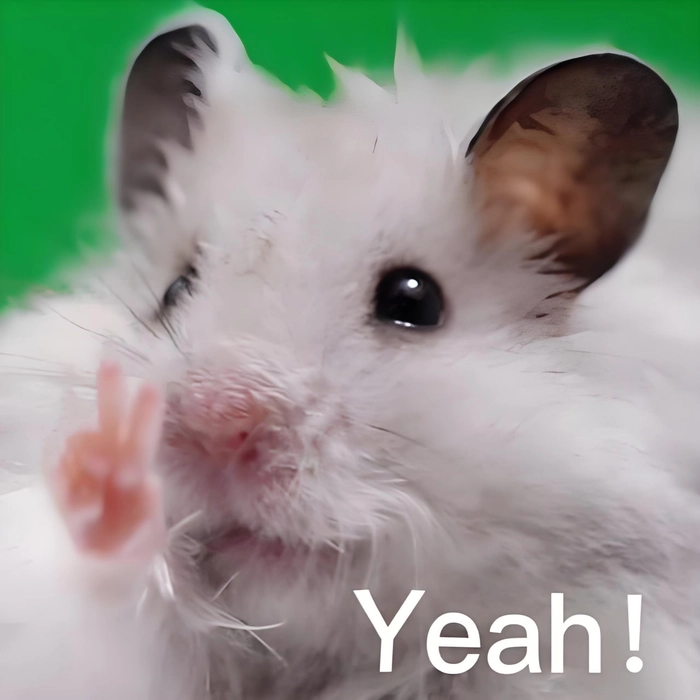 Chuột Hamster meme cực dễ thương