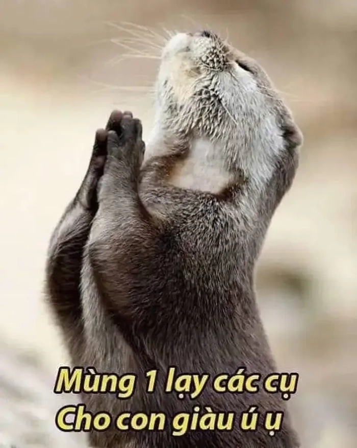 Em lạy chị meme bá đạo