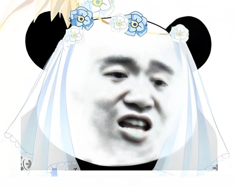 Gấu trúc meme slay ngộ nghĩnh