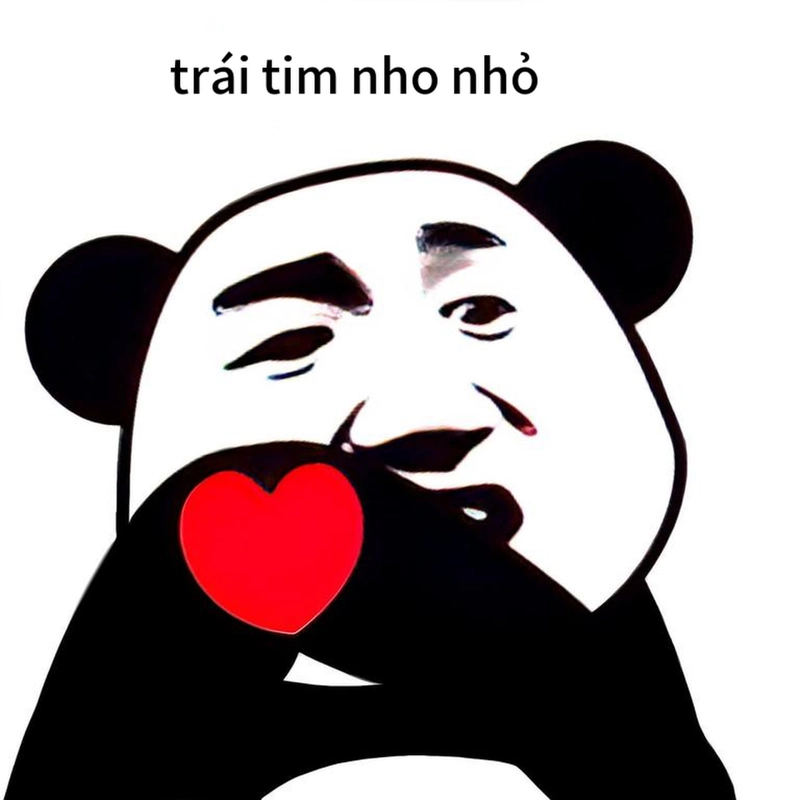Gấu trúc meme thả tim hài troll