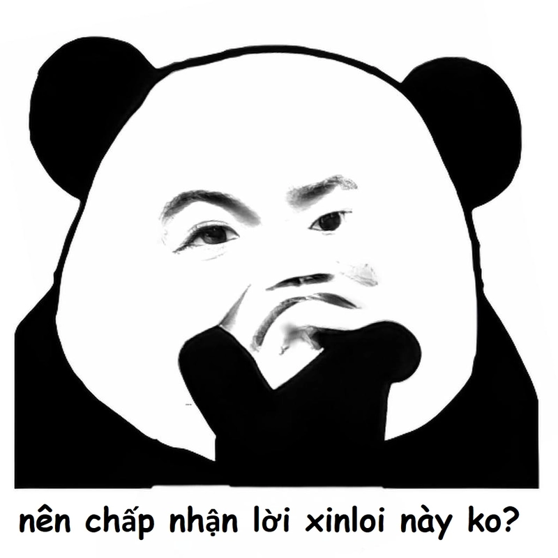 Gấu trúc meme xin lỗi khó đỡ