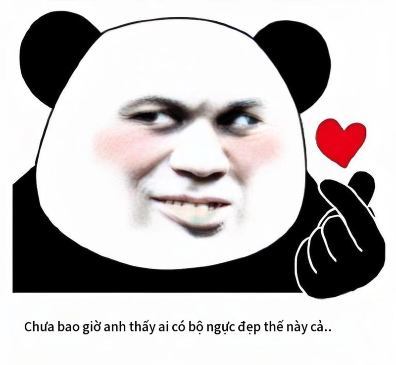 Gấu trúc meme yêu troll lầy lội