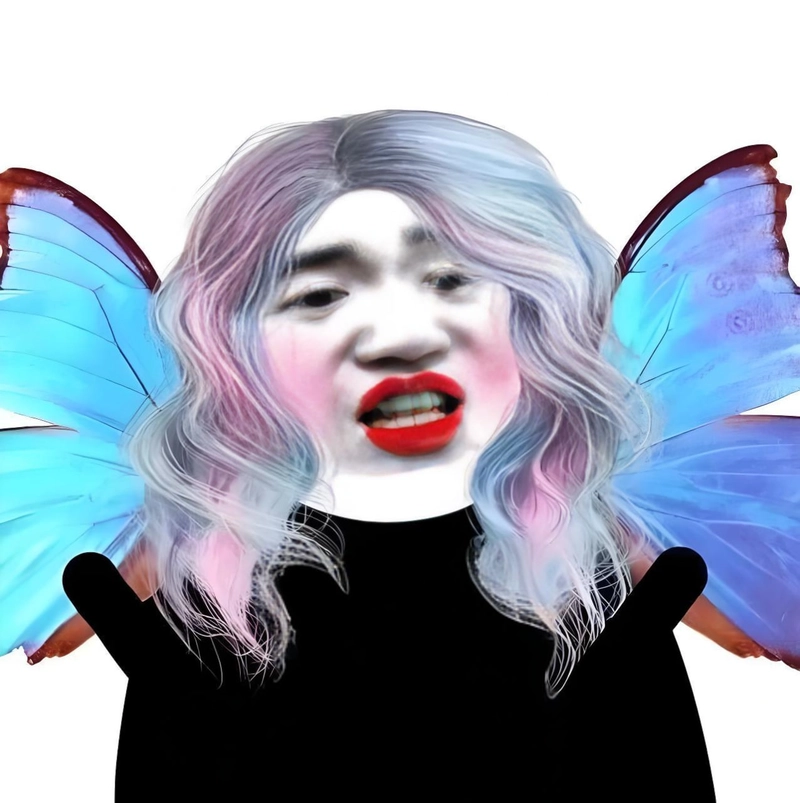 Gấu trúc slay meme lầy lội