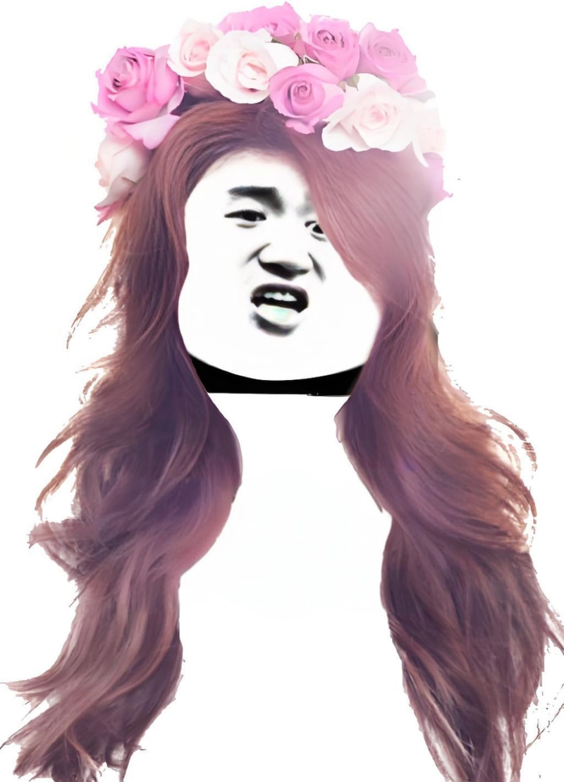 Gấu trúc slay meme vui bá đạo