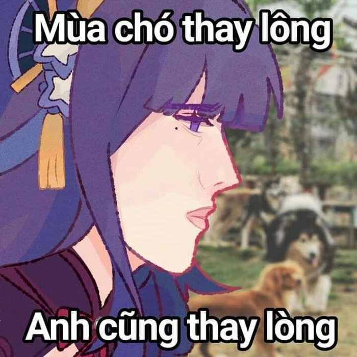 Genshin Impact meme siêu bựa vui nhộn