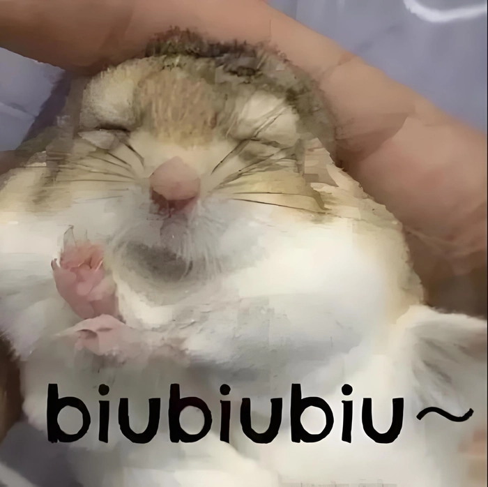 Hài hước meme chuột Hamster khiến ai cũng cười