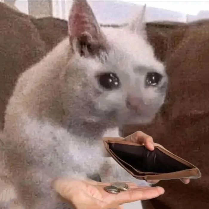 Hết tiền meme hài hước khó cưỡng