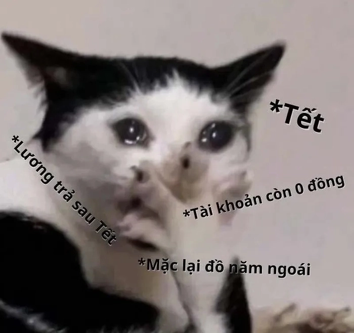 Hết tiền meme siêu hài nổi bật