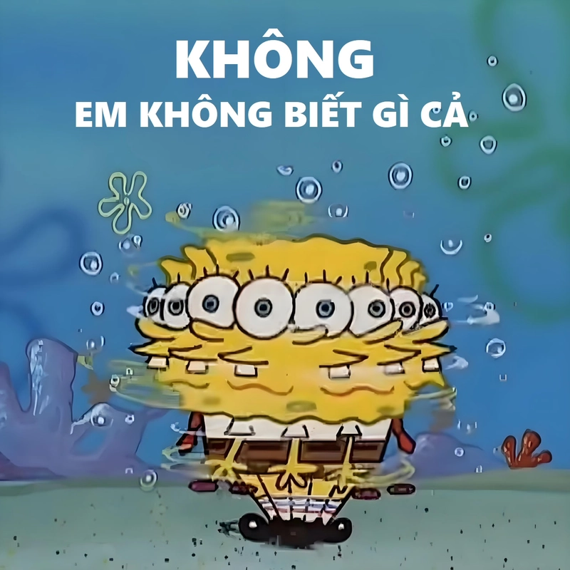 Hình Bọt Biển hoạt hình meme độc đáo