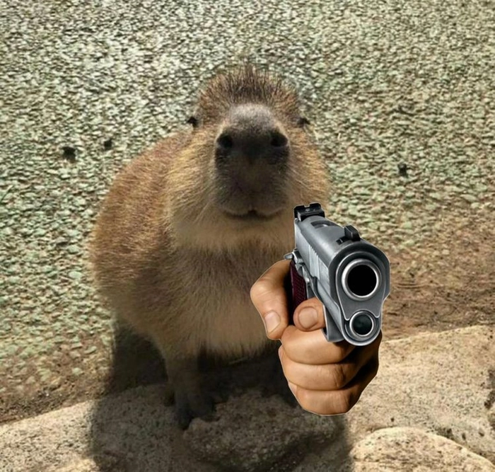 Hình ảnh capybara meme vui nhộn