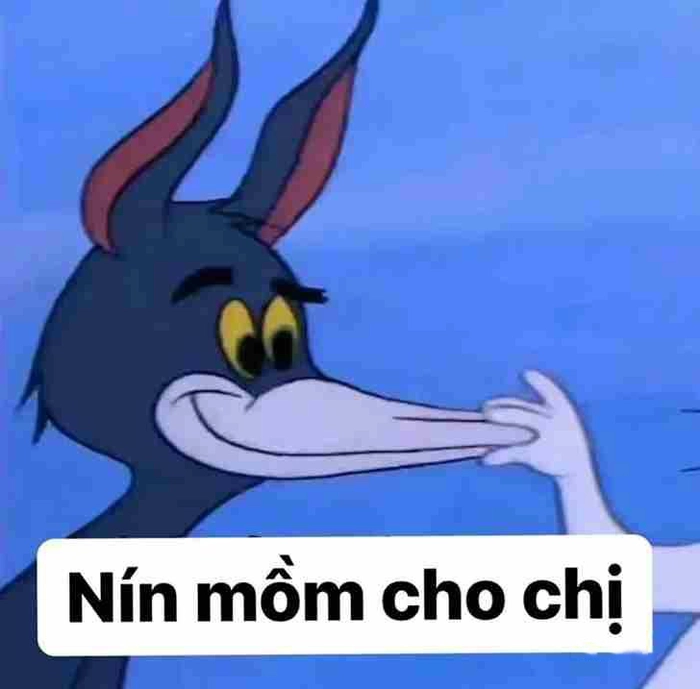 Hình ảnh chửi meme cực hot trend