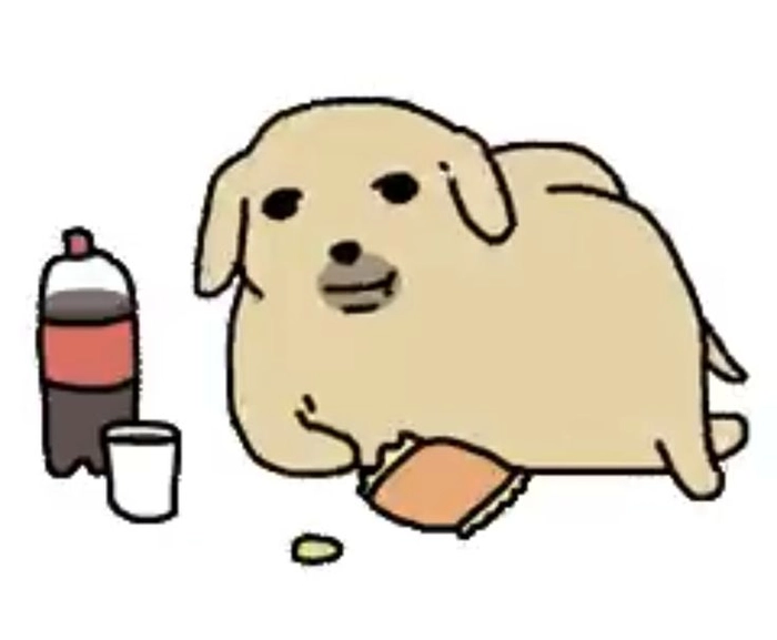 Hình ảnh meme con chó nghèo khổ