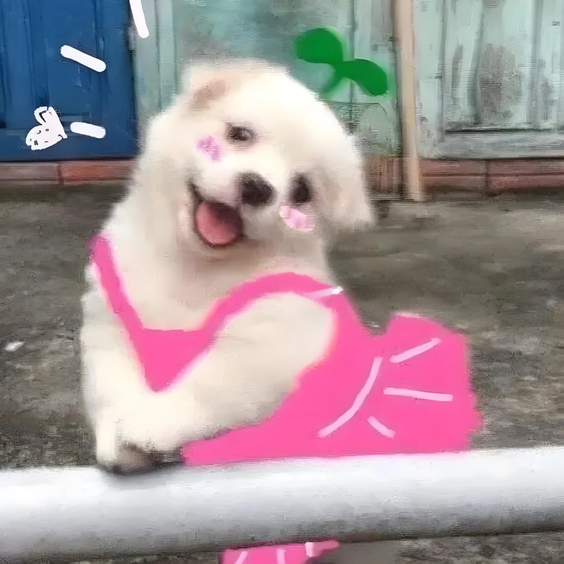 Hình ảnh meme đáng yêu cực cute