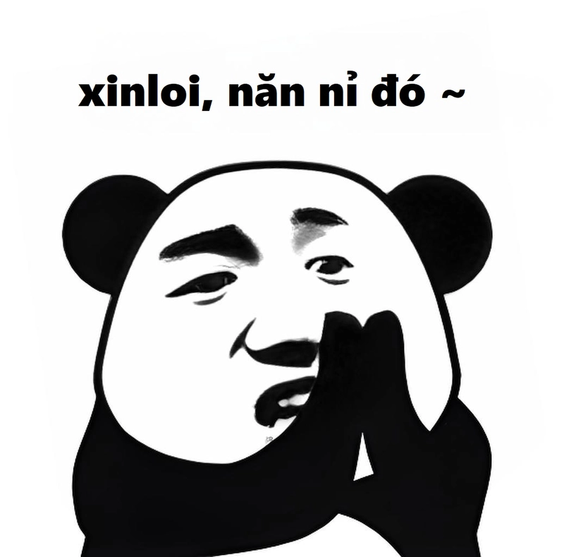 Hình ảnh meme gấu trúc xin lỗi hài