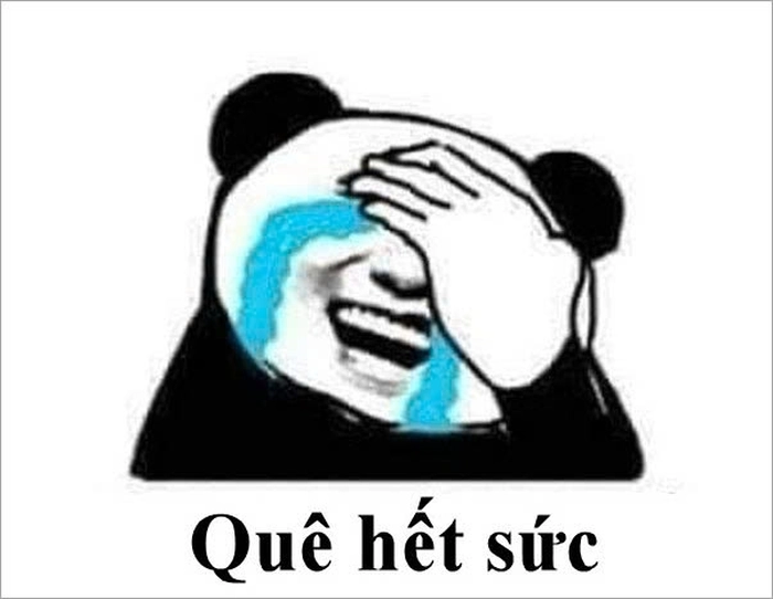 Hình ảnh meme quê hài troll