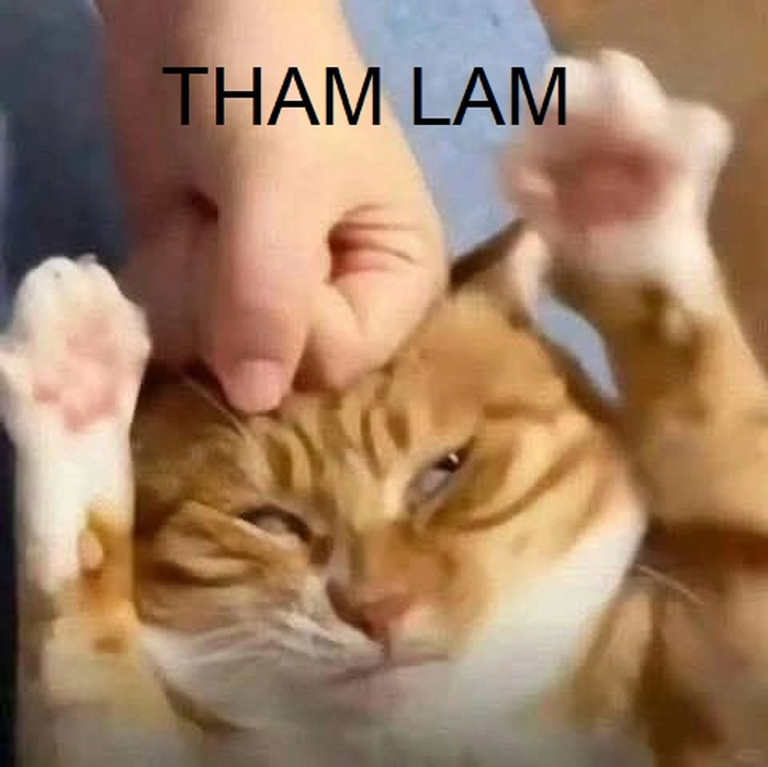 Hình ảnh meme tham lam chế hài