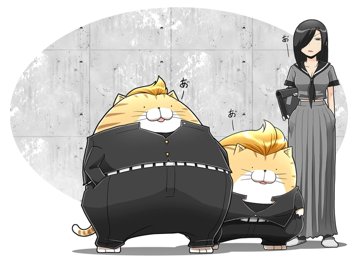 Hình ảnh mèo anime đẹp kute