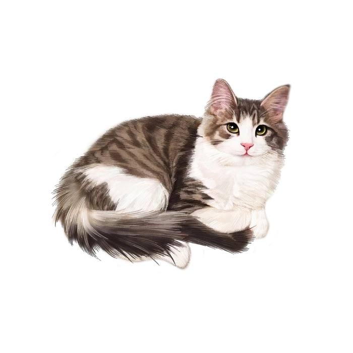 Hình ảnh mèo cute anime ngộ nghĩnh