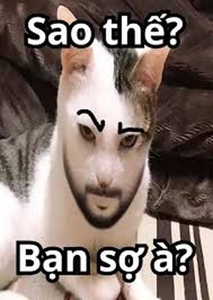Hình chế bạn sợ à meme hài