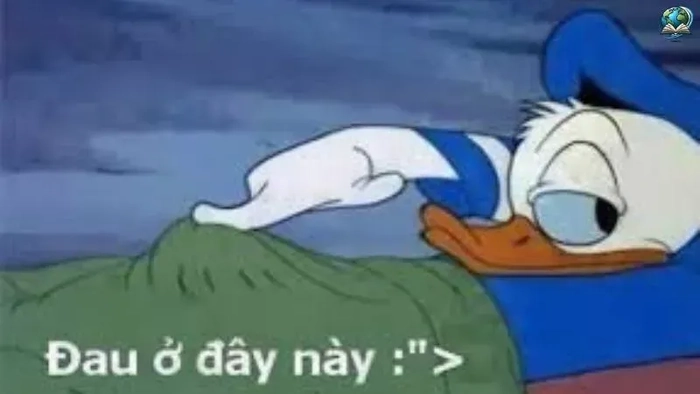 Hình chế đau ở đây này meme