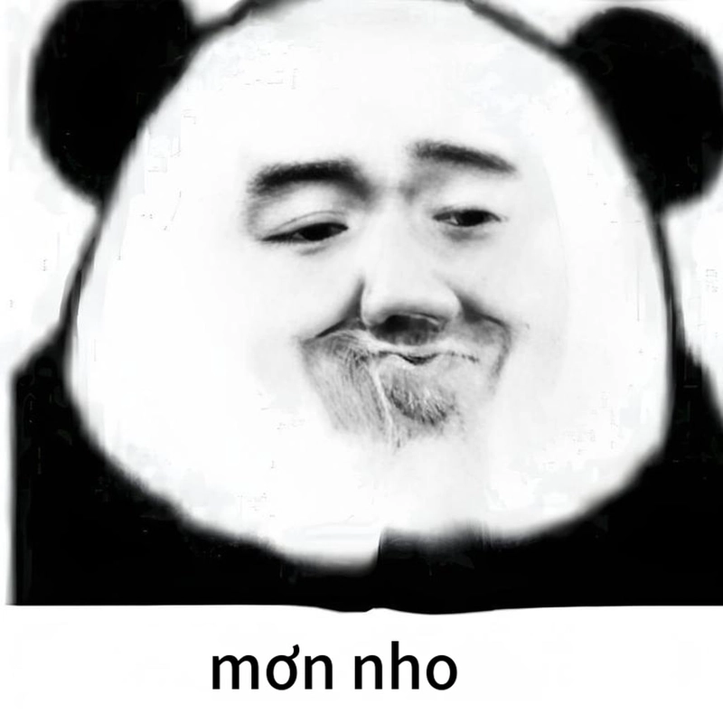 Hình chế gấu trúc đa tạ hài hước