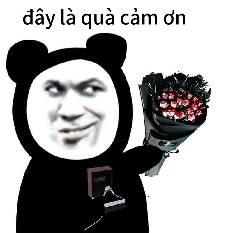 Hình gấu trúc cảm ơn dễ thương