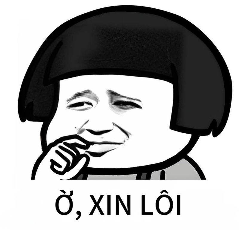 Hình gấu trúc xin lỗi chế hài