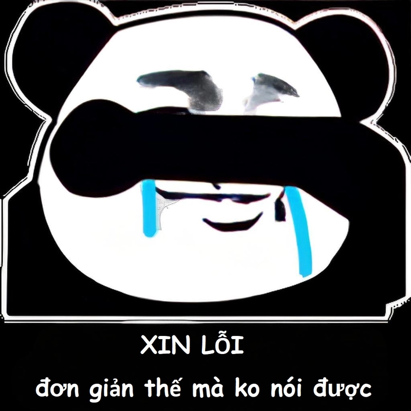 Hình gấu trúc xin lỗi lầy lội