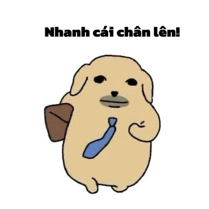 Hình meme con chó nghèo bá đạo