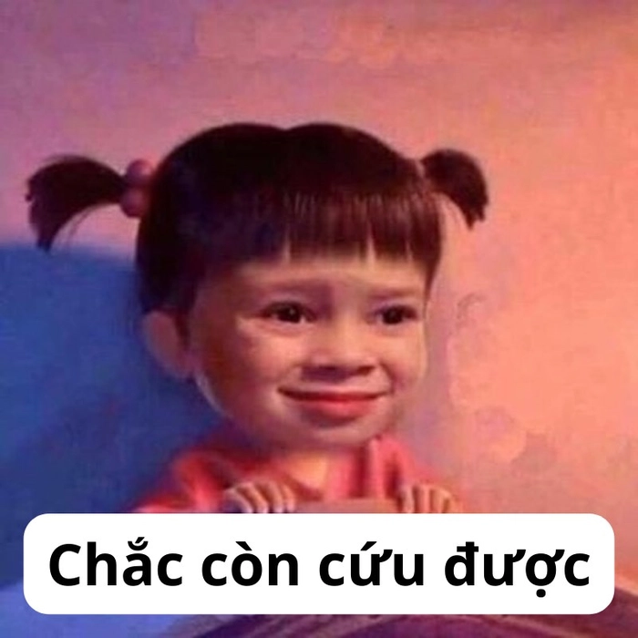 Hình meme hết cứu khó đỡ