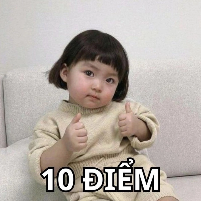 Meme 10 điểm hài lầy khó nhịn cười