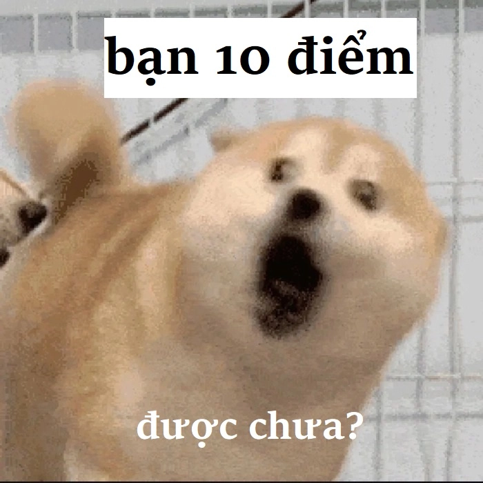 Meme 10 điểm không có nhưng hài chất