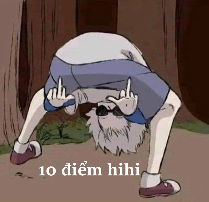 Meme 10 điểm mèo chế hài cực bựa