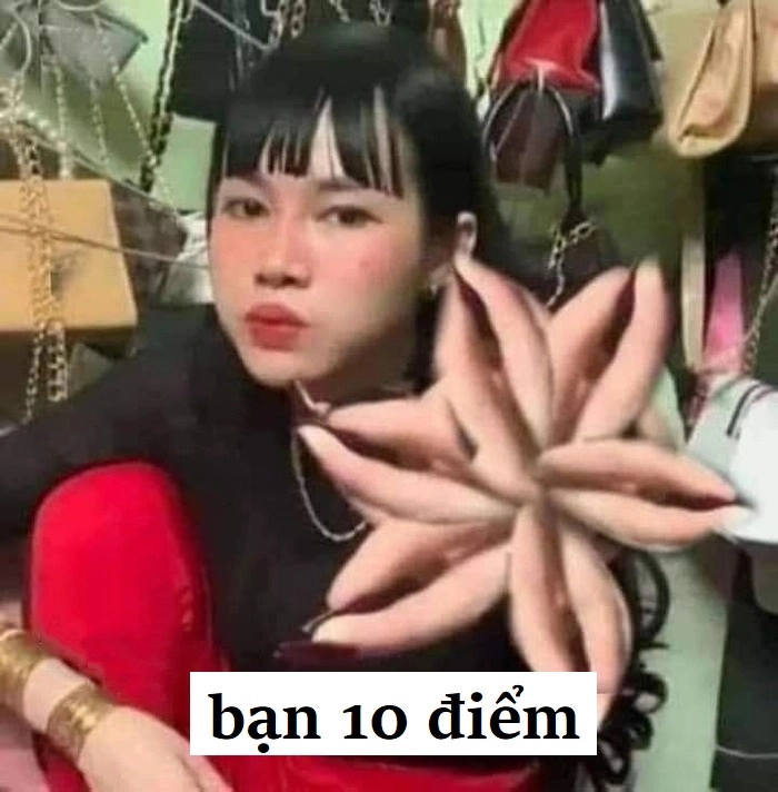 Meme 10 điểm mèo chế vui cực hot