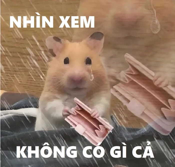 Meme Hamster cầm thánh giá hài bựa