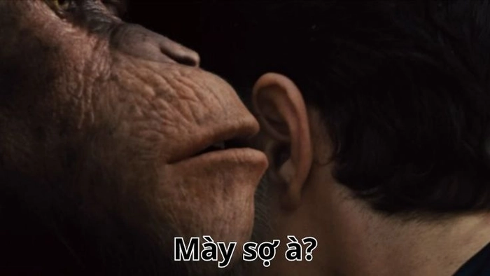 Meme bạn sợ à troll hay