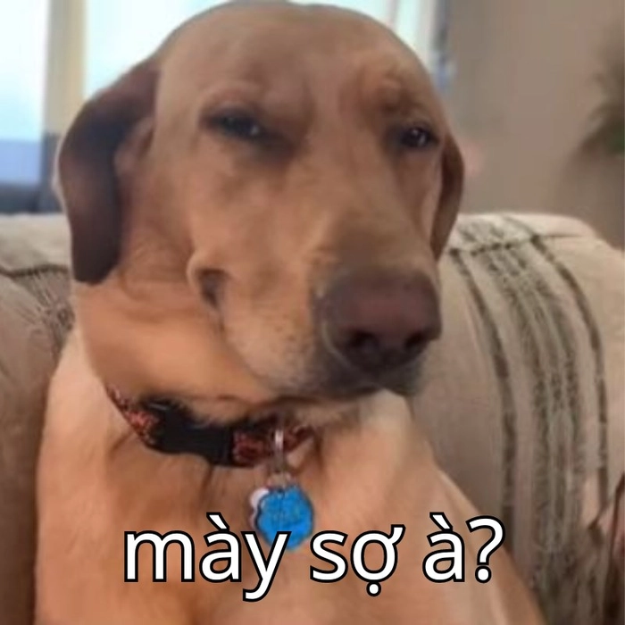 Meme bạn sợ à vui nhộn