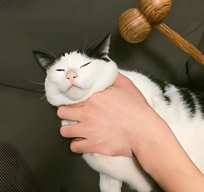 Meme bóp cổ hài hước bá đạo