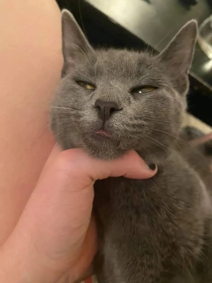 Meme bóp cổ lè lưỡi bá đạo hài