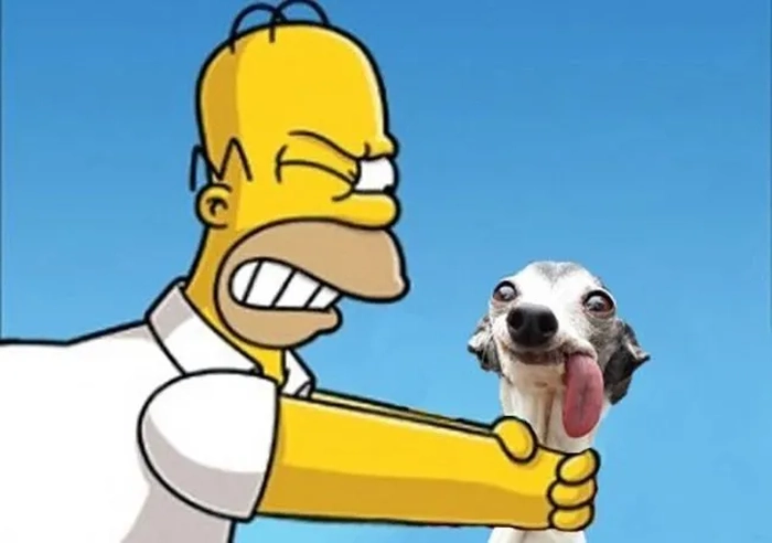 Meme bóp cổ ngộ nghĩnh hài hước