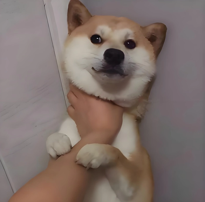 Meme bóp cổ thằng bé cười xỉu