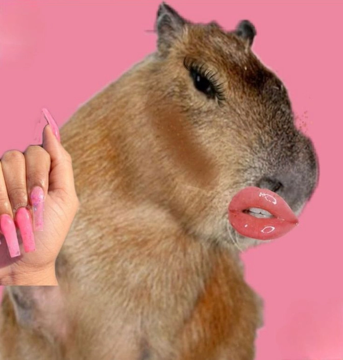 Meme capybara cầm dao siêu lầy
