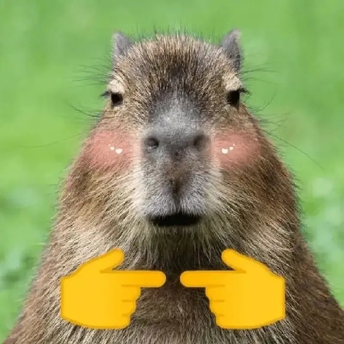 Meme capybara cầm dao vui nhộn