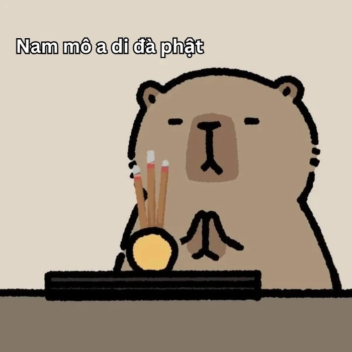 Meme capybara nổi mạng xã hội