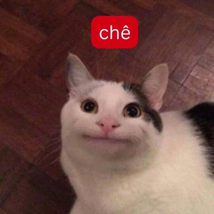 Meme chê lùn lan truyền vui nhộn