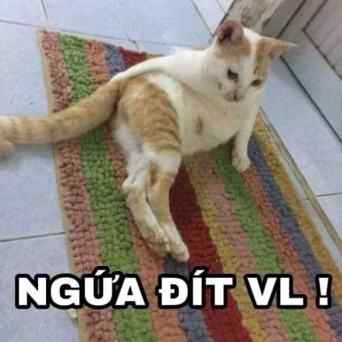 Meme chê xấu bá đạo khó đỡ