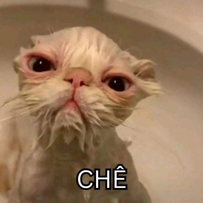 Meme chê xấu hài khó nhịn cười