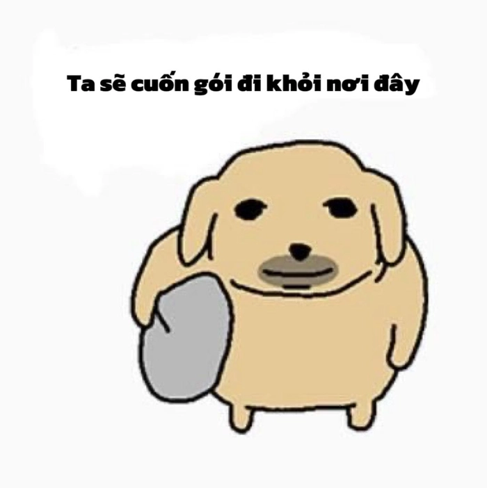 Meme chó rách Nudaeng cười xỉu